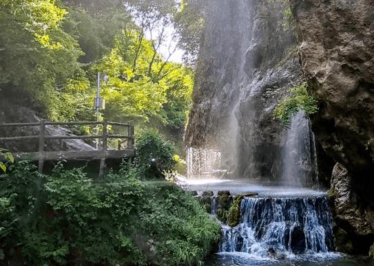 探索天涯问答平台正式确诊自己为「职场水母」是什么梗?你愿意一直当职场水母吗?